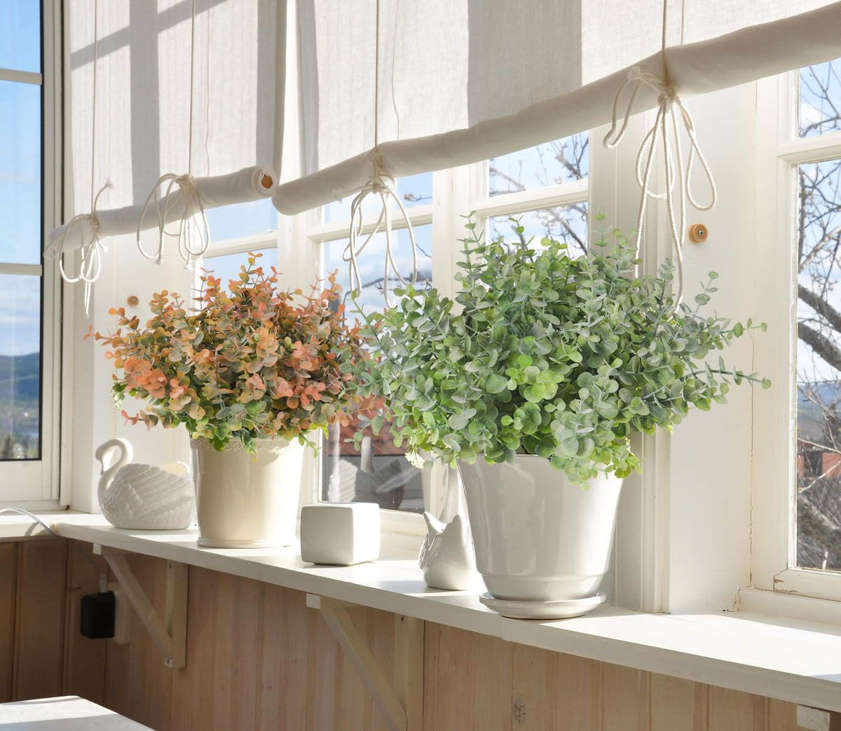 RECUTMS boxwood bushes ideal for wedding décor and wreaths.
