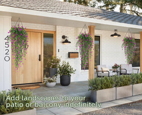 RECUTMS eucalyptus vines ideal for porch and corridor styling.