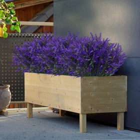 RECUTMS green lavender stems bring lush greenery to porch or garden.