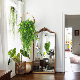 RECUTMS hanging plants with five flexible stems for a bushy, three-dimensional display
