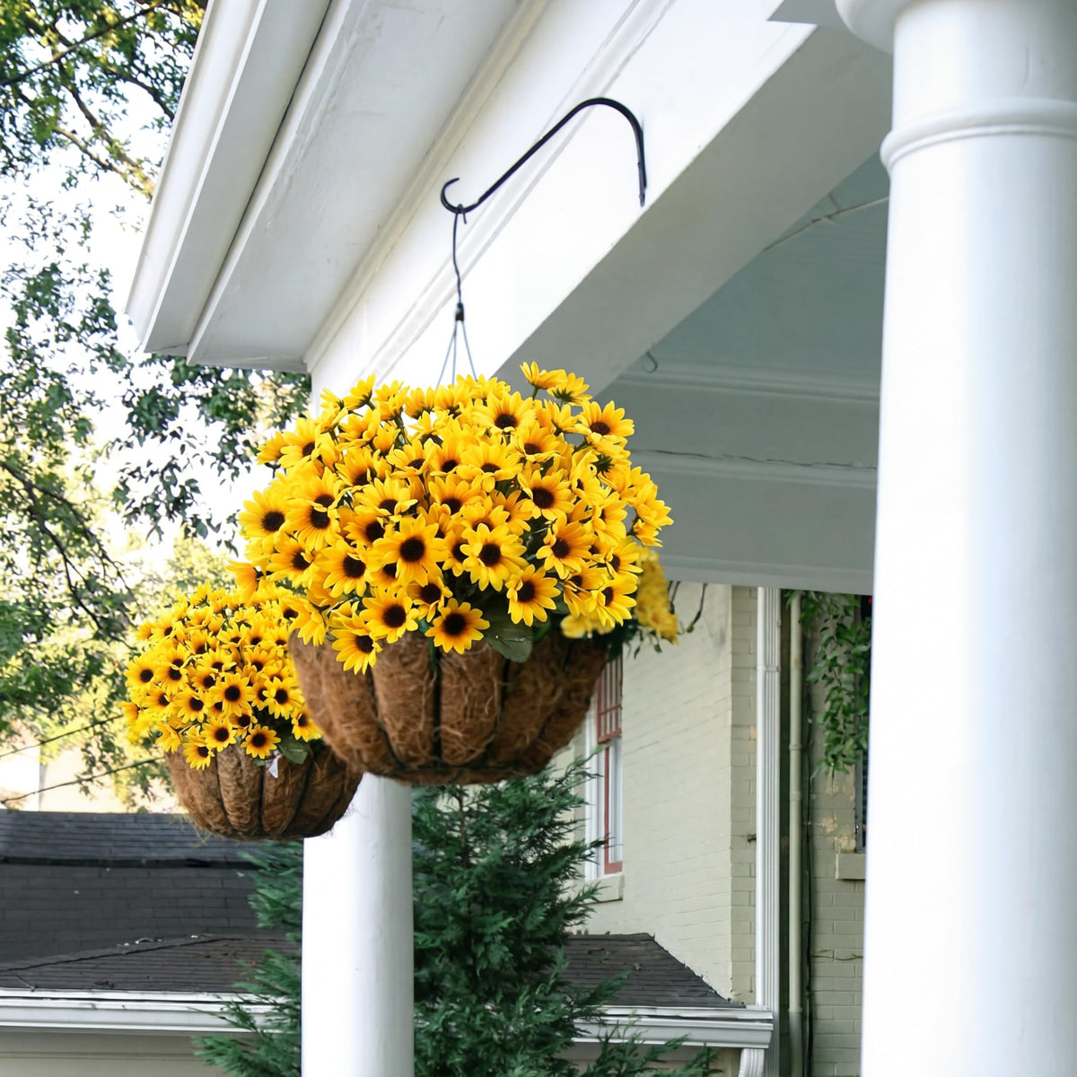 Redbaker sunflower branches offering versatile arrangements for interiors.