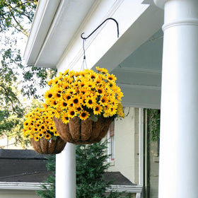 Redbaker sunflower branches offering versatile arrangements for interiors.