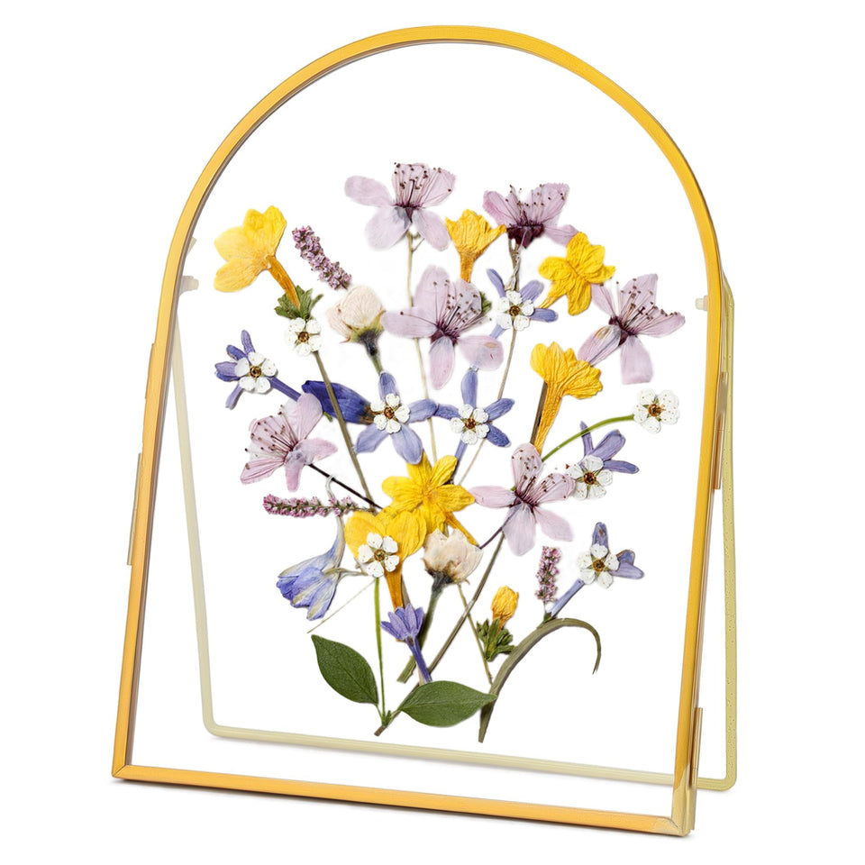 REDHUGO double glass frame arc gold showcases pressed flowers on tabletop.