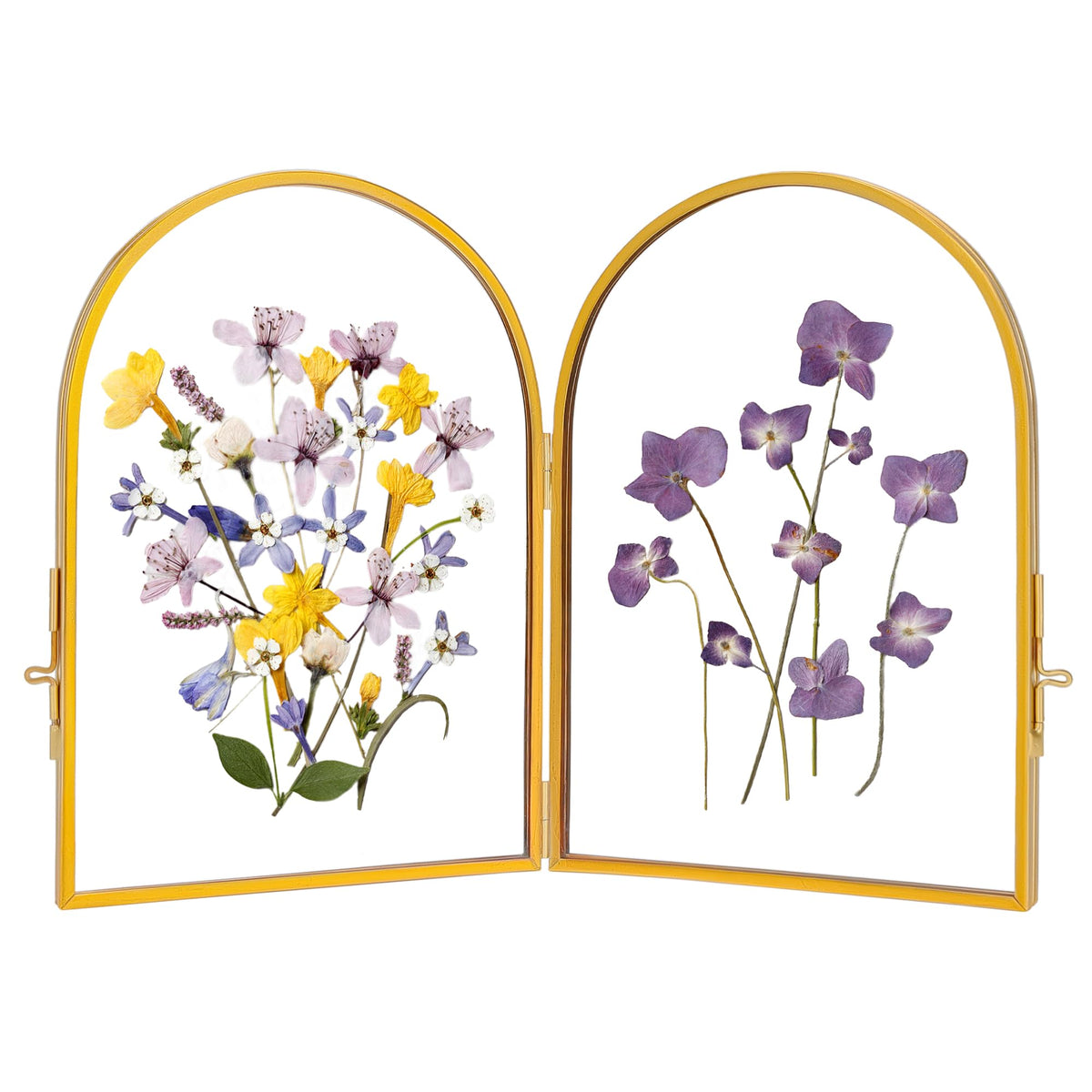 REDHUGO double glass frame showcases pressed flowers for elegant home display.