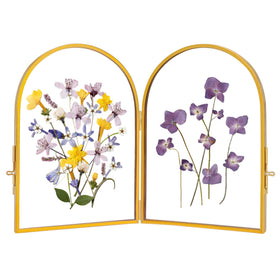 REDHUGO double glass frame showcases pressed flowers for elegant home display.