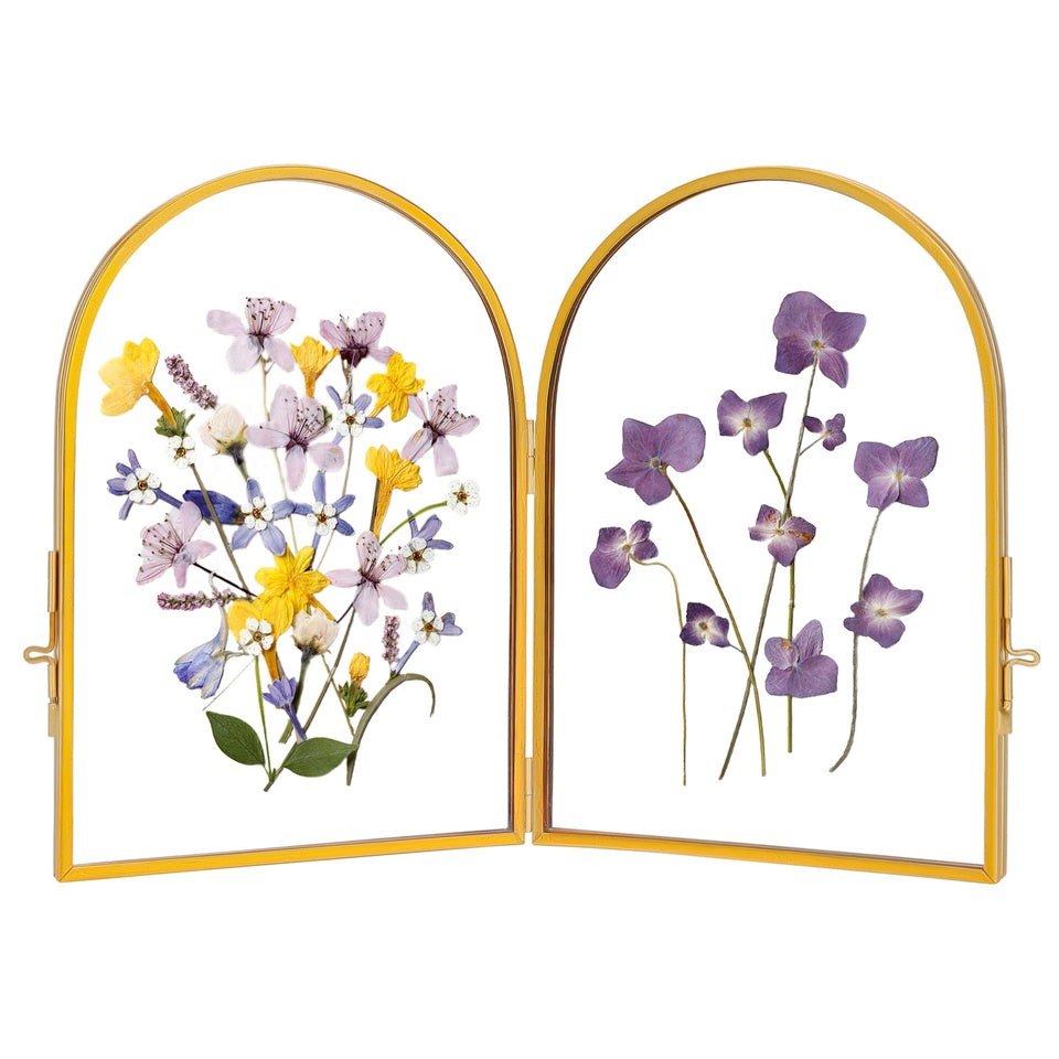 REDHUGO double glass frame showcases pressed flowers for elegant home display.