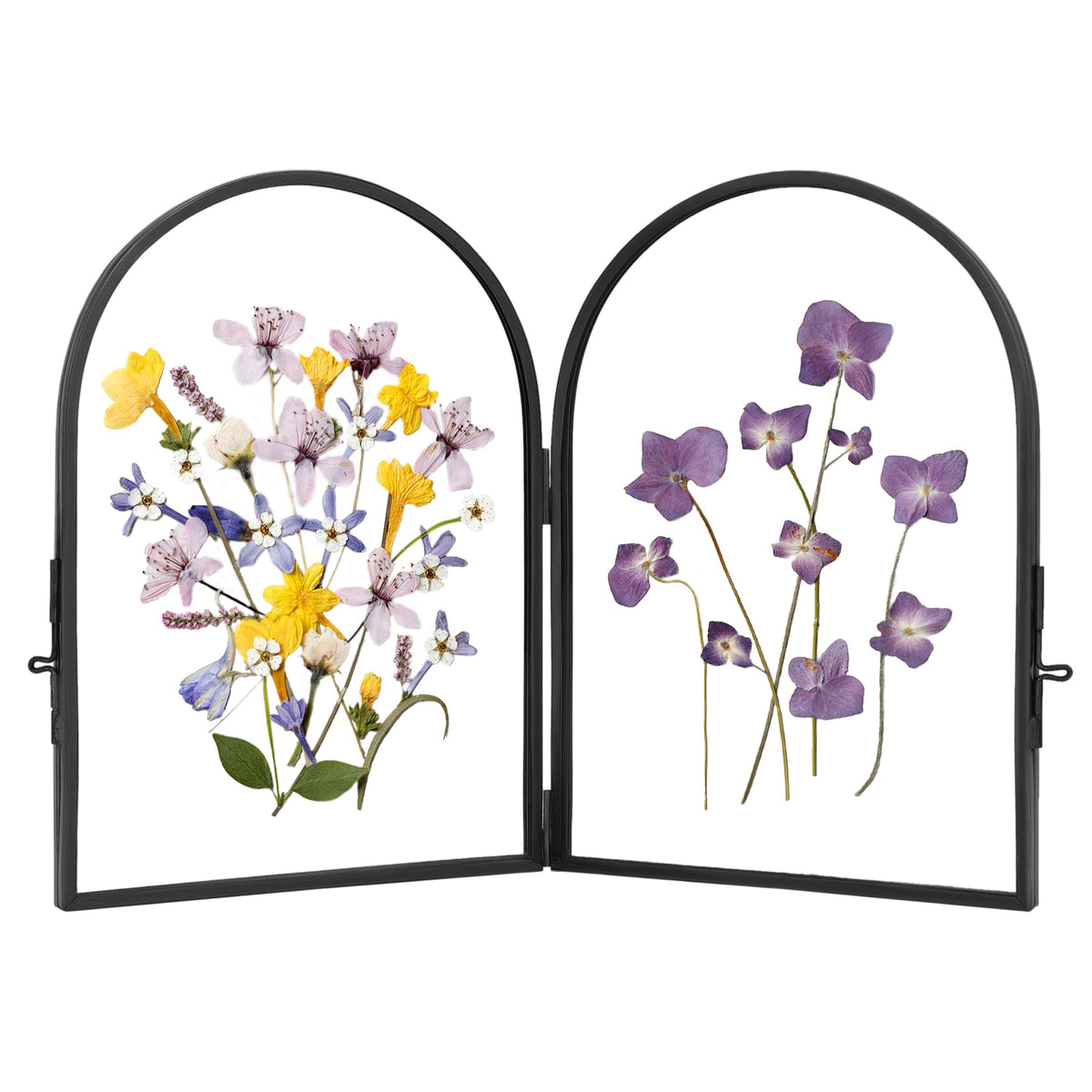 REDHUGO double-glass frame front view for pressed flowers highlights durability.