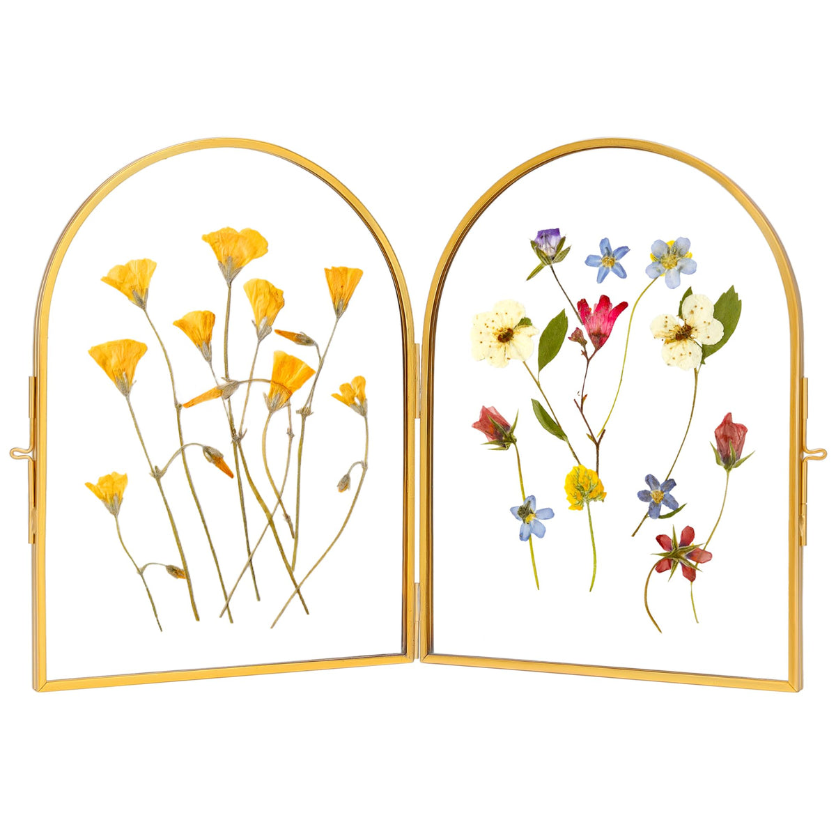 RedHugo double glass frame with side latch for easy display swaps.