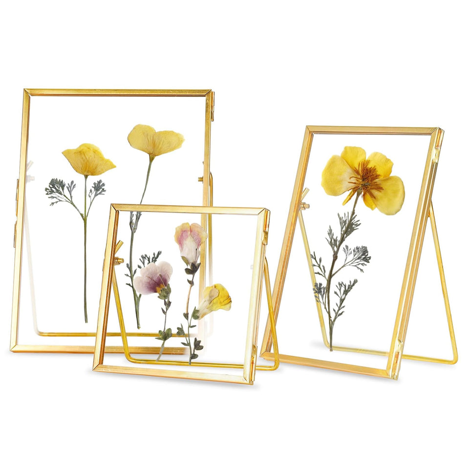 REDHUGO glass frame for pressed flowers 4x4 in gold brass finish, ideal for display