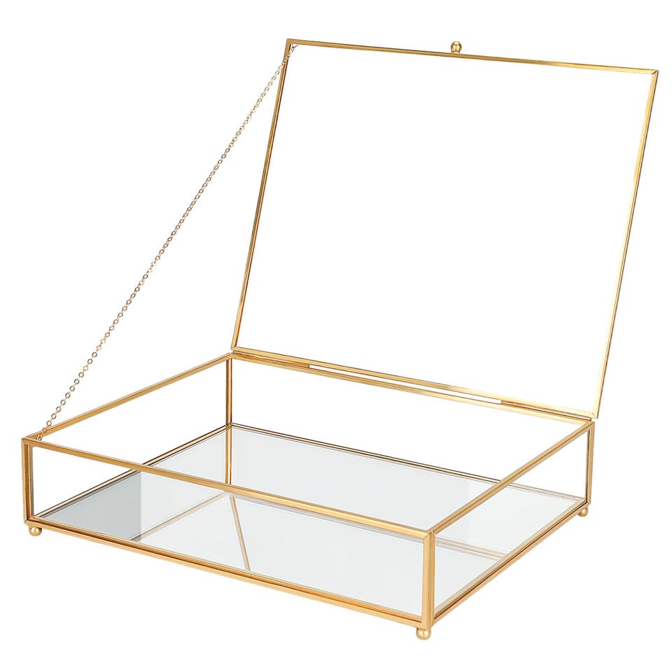 RedHUGO large glass box with mirrored base highlights items with elegant illumination for display.