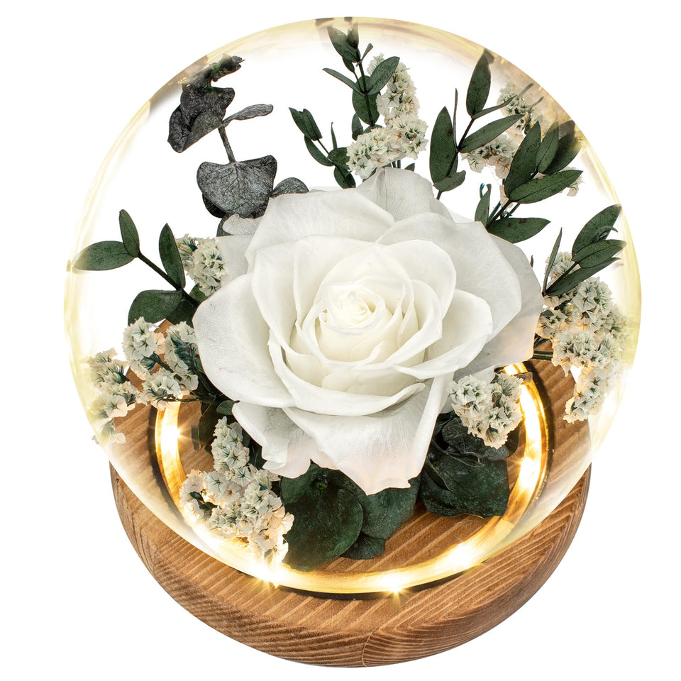 Regalo Flor preserved rose under glass dome with LED light for lasting beauty.
