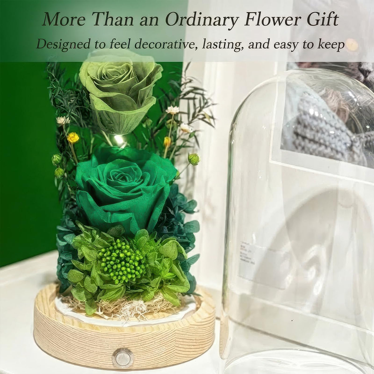 Regalo Flor warm glow from LED light complements the preserved rose