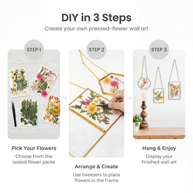 Relaxing Garden floating double glass frame showcases real botanicals in a modern display
