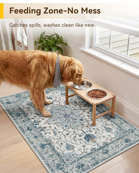 RELEANY area rug 2x3 entryway view demonstrates versatile placement and easy cleaning.