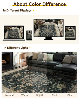 RELEANY rug designed to slide under doors for better space flow