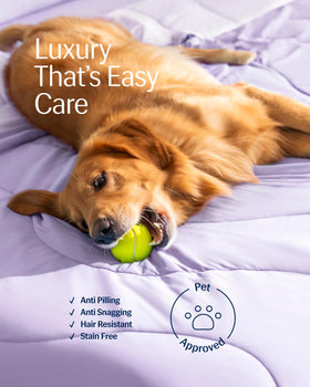 REST Evercool cooling comforter on bed at night suggests steady cooling.