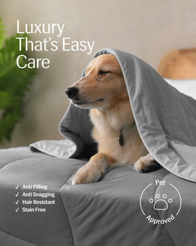 REST Evercool near pet-friendly soft fabric ideal for cozy nights