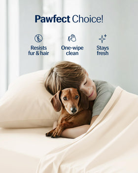 REST Evercool+ pillowcase two-pack for convenient bedding refresh
