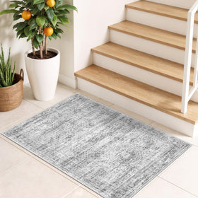 Restydon entryway non-slip rug with tpr backing for stable floors