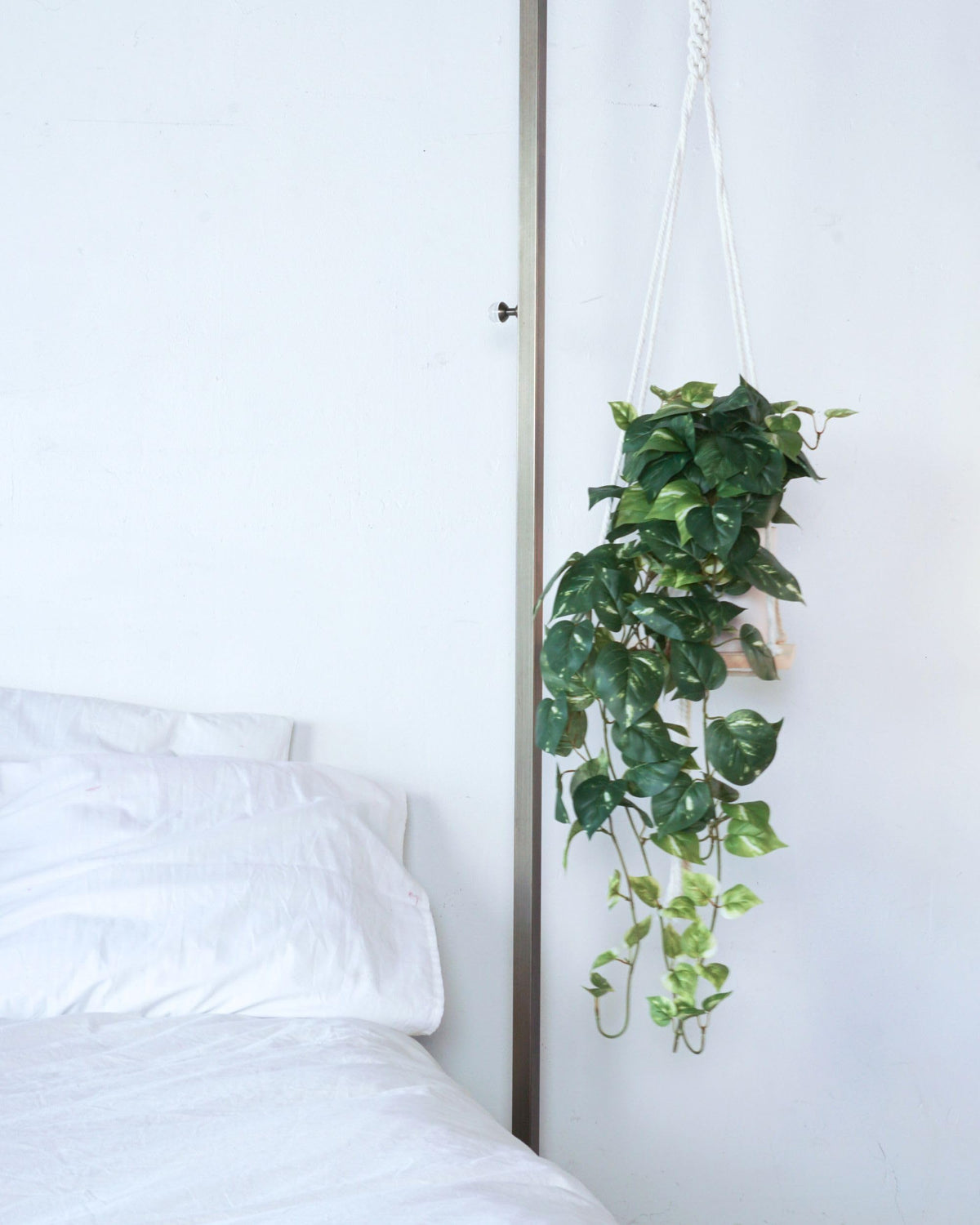 Retrograde pothos ivy living room decor setup for cozy styling.