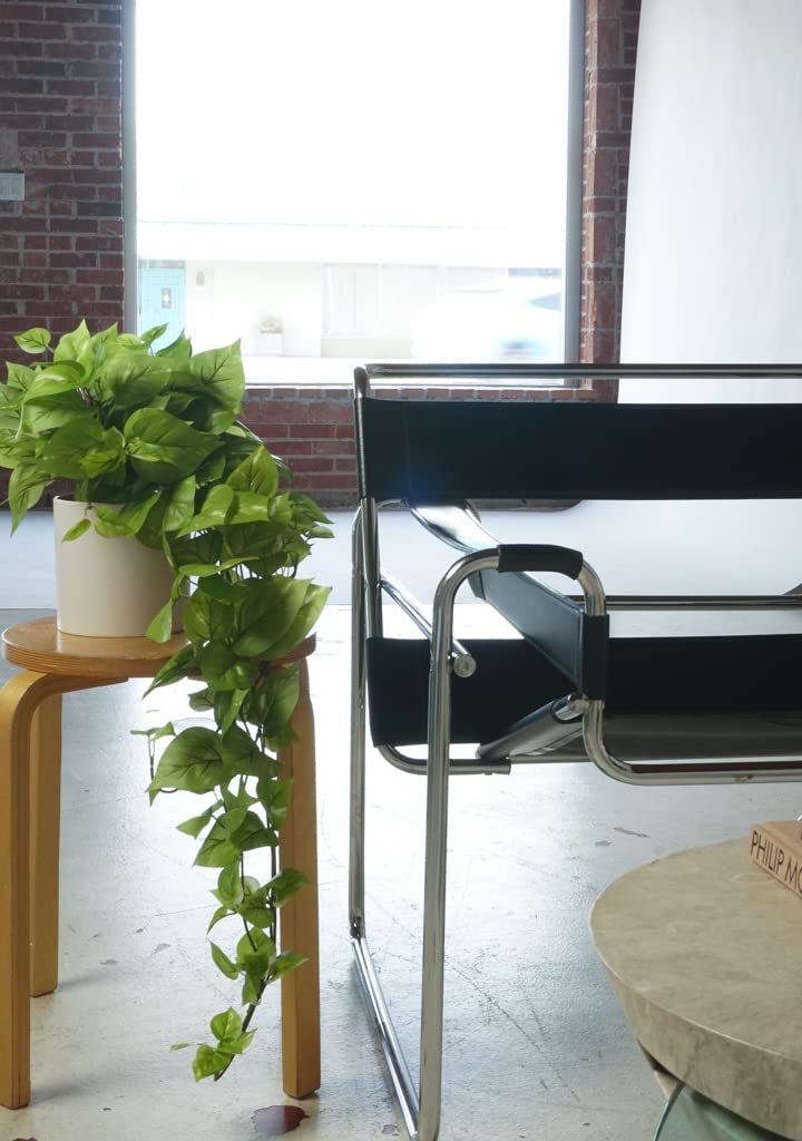 Retrograde Pothos Ivy plant in entryway stand welcomes guests.