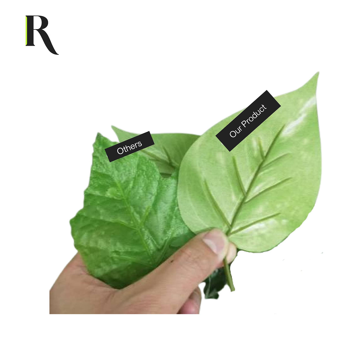 Retrograde Pothos Ivy plant on shelf adds natural calm to spaces.