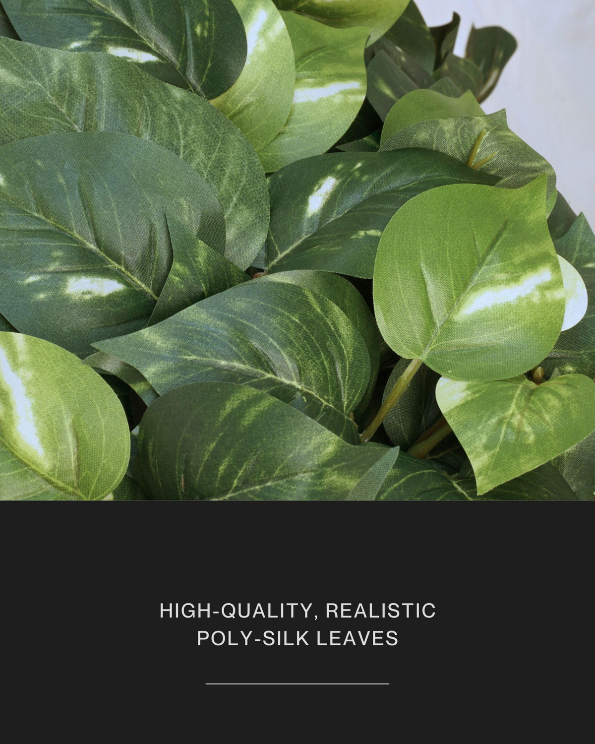 Retrograde pothos ivy silk texture detail shows maintenance-free greenery.