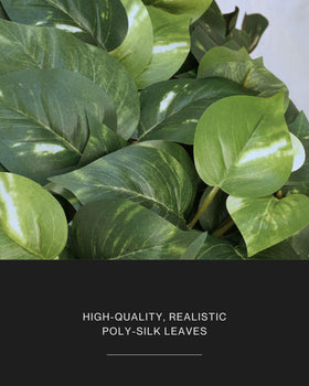 Retrograde pothos ivy silk texture detail shows maintenance-free greenery.