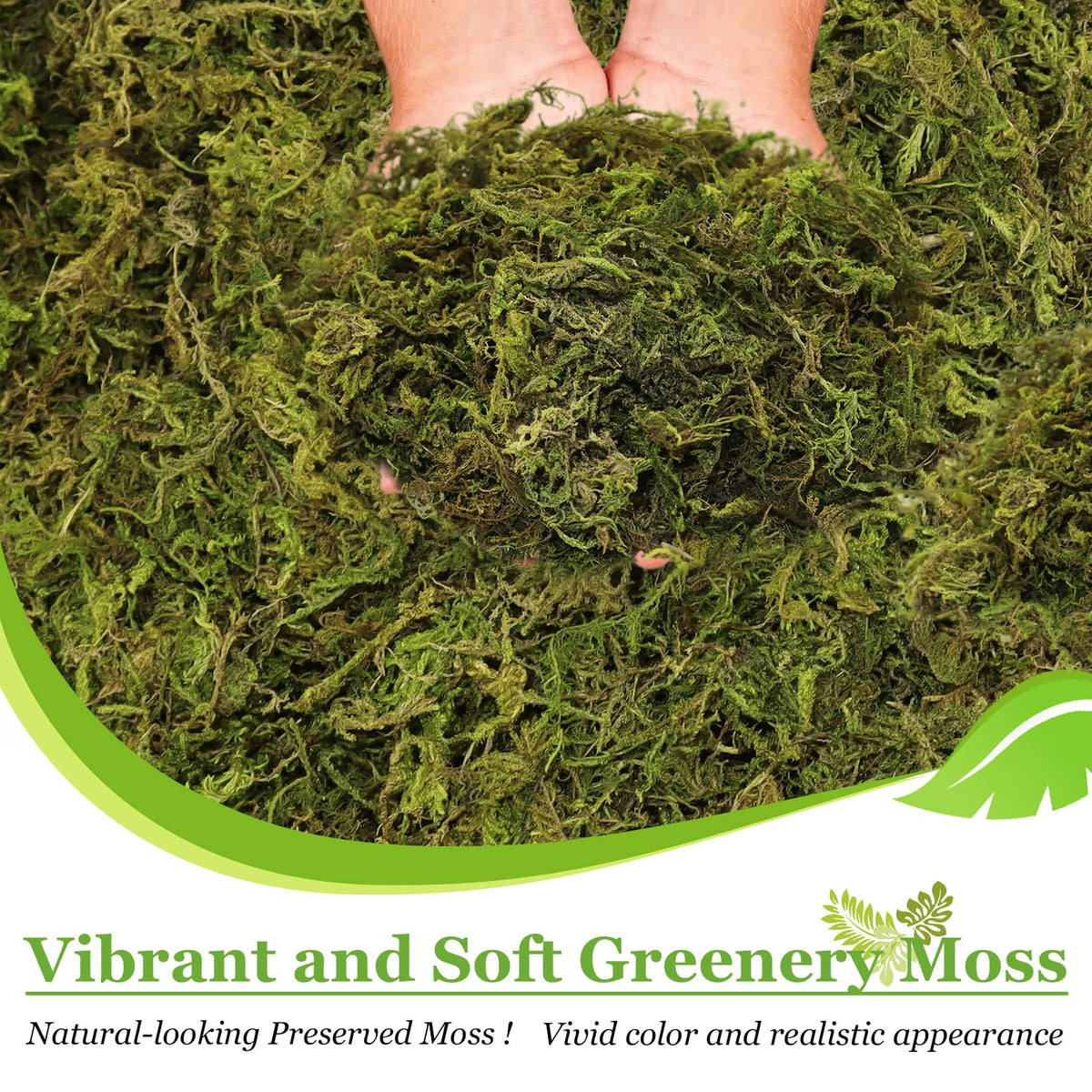Riare moss centerpiece decor enhances table settings with natural charm