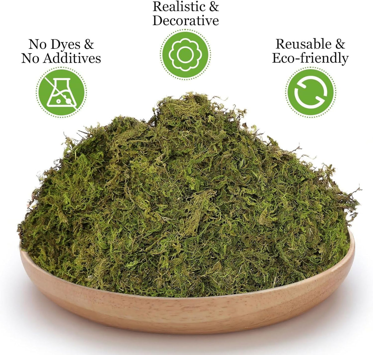 Riare moss fairy garden setup demonstrates lush realism for decorative mini landscapes.