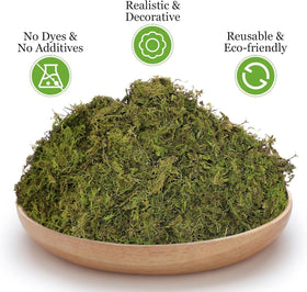 Riare moss fairy garden setup demonstrates lush realism for decorative mini landscapes.