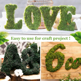 Riare moss terrarium base filler supports natural-looking mini landscapes.