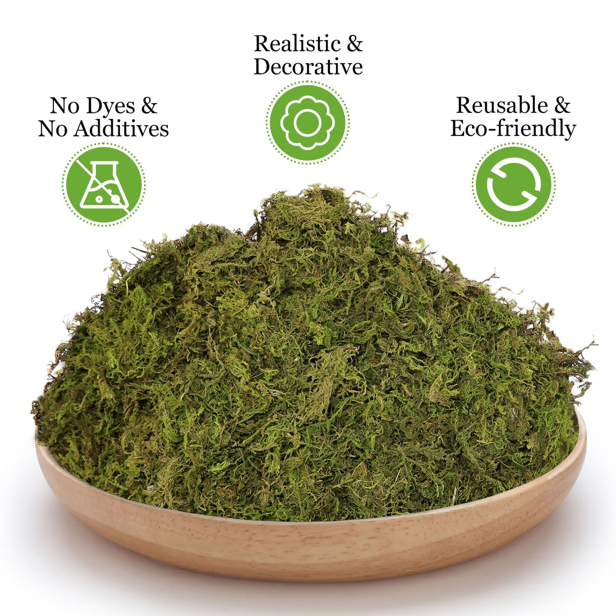 Riare moss as terrarium base for a lush, believable scene