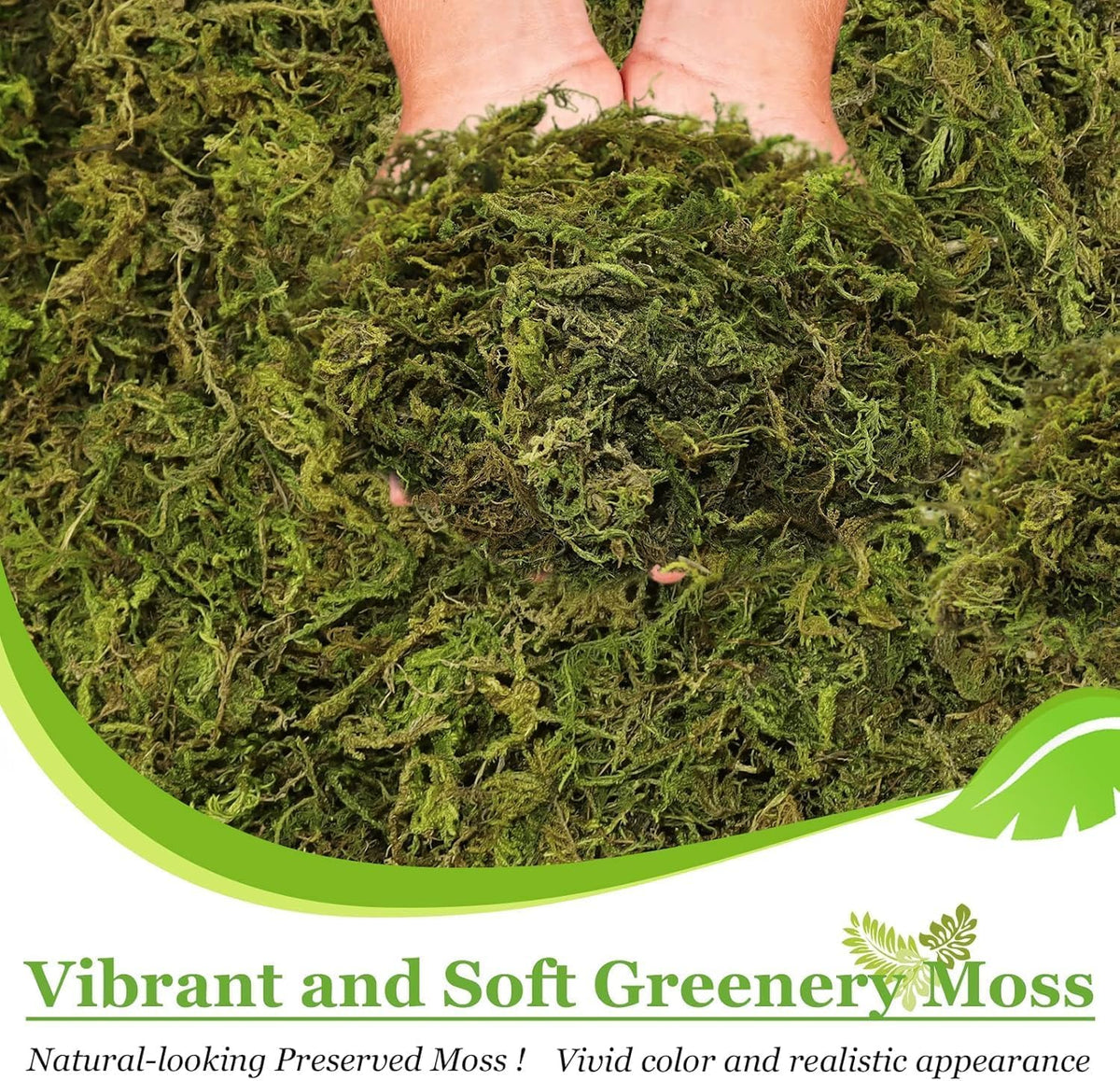 Riare moss wall art fill showcases vibrant green accent for decor and centerpieces.