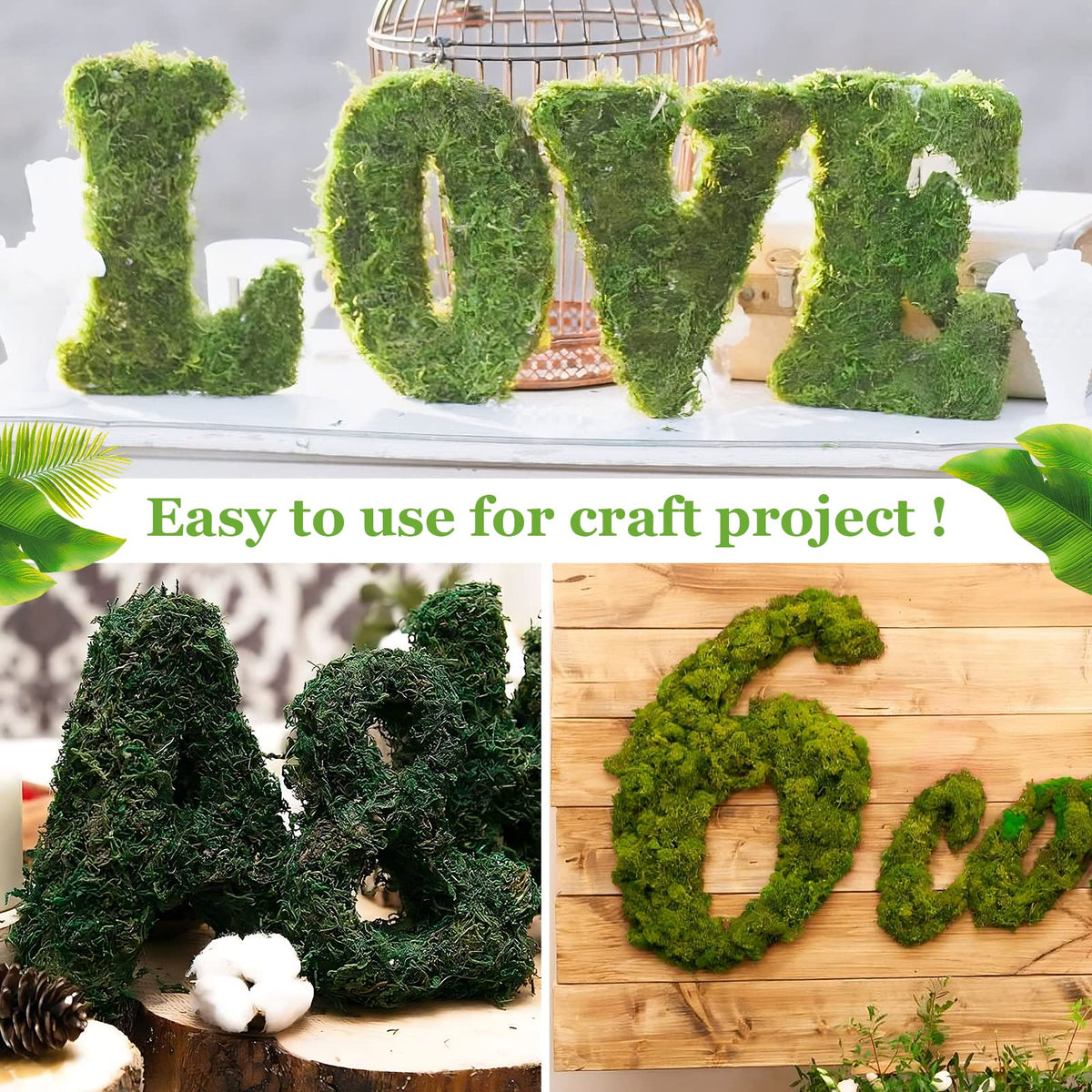Riare moss wall art filler complements hanging greenery displays
