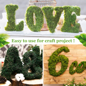 Riare moss wall art filler complements hanging greenery displays