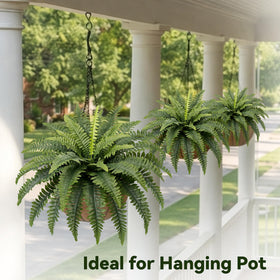 Richeerca allergen-free, pet-friendly faux fern suitable for homes.