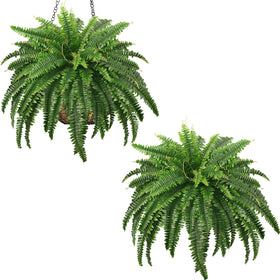 Richeerca artificial Boston fern for outdoors with UV resistance.