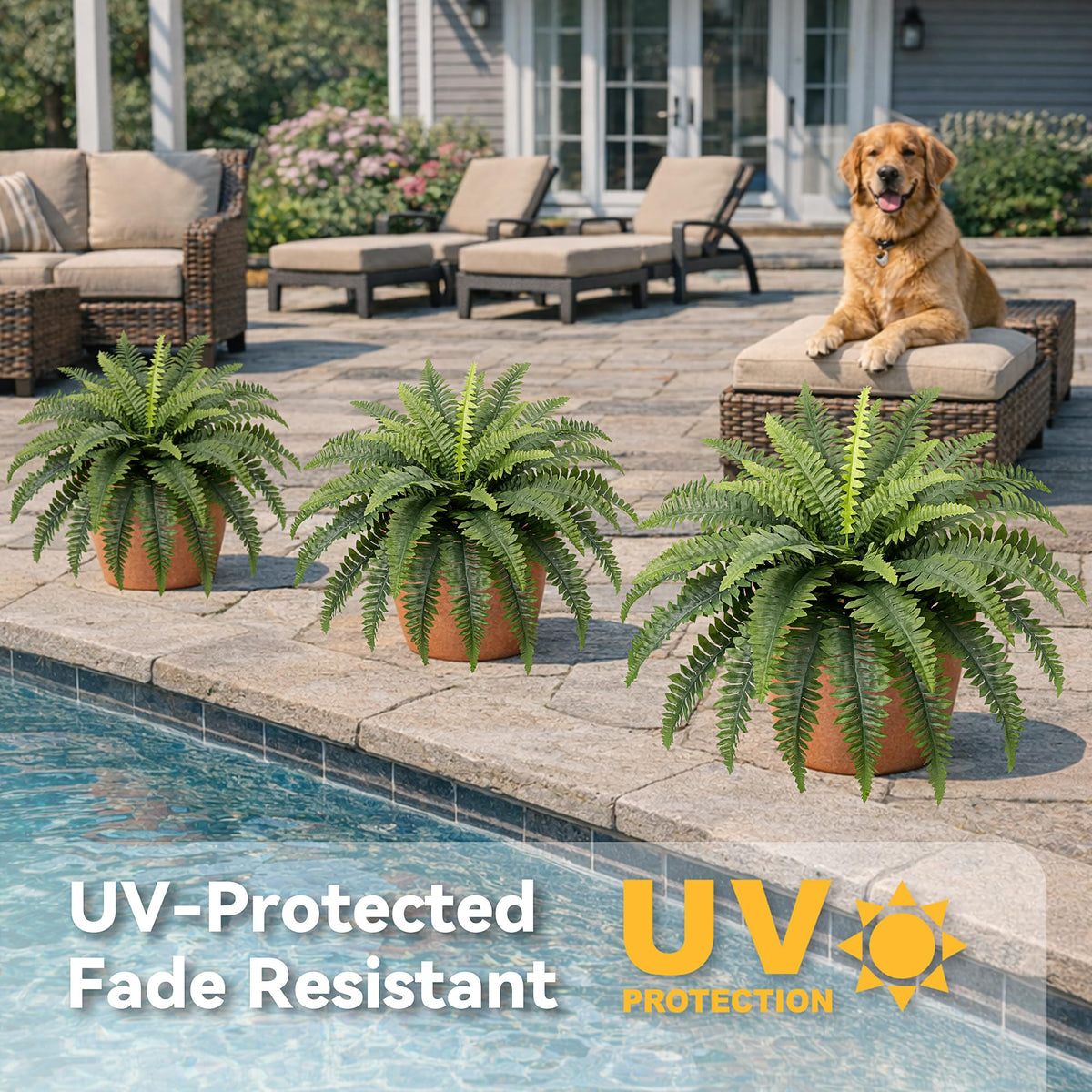 Richeerca fern decor fits planters, hanging baskets, fences, or walls.
