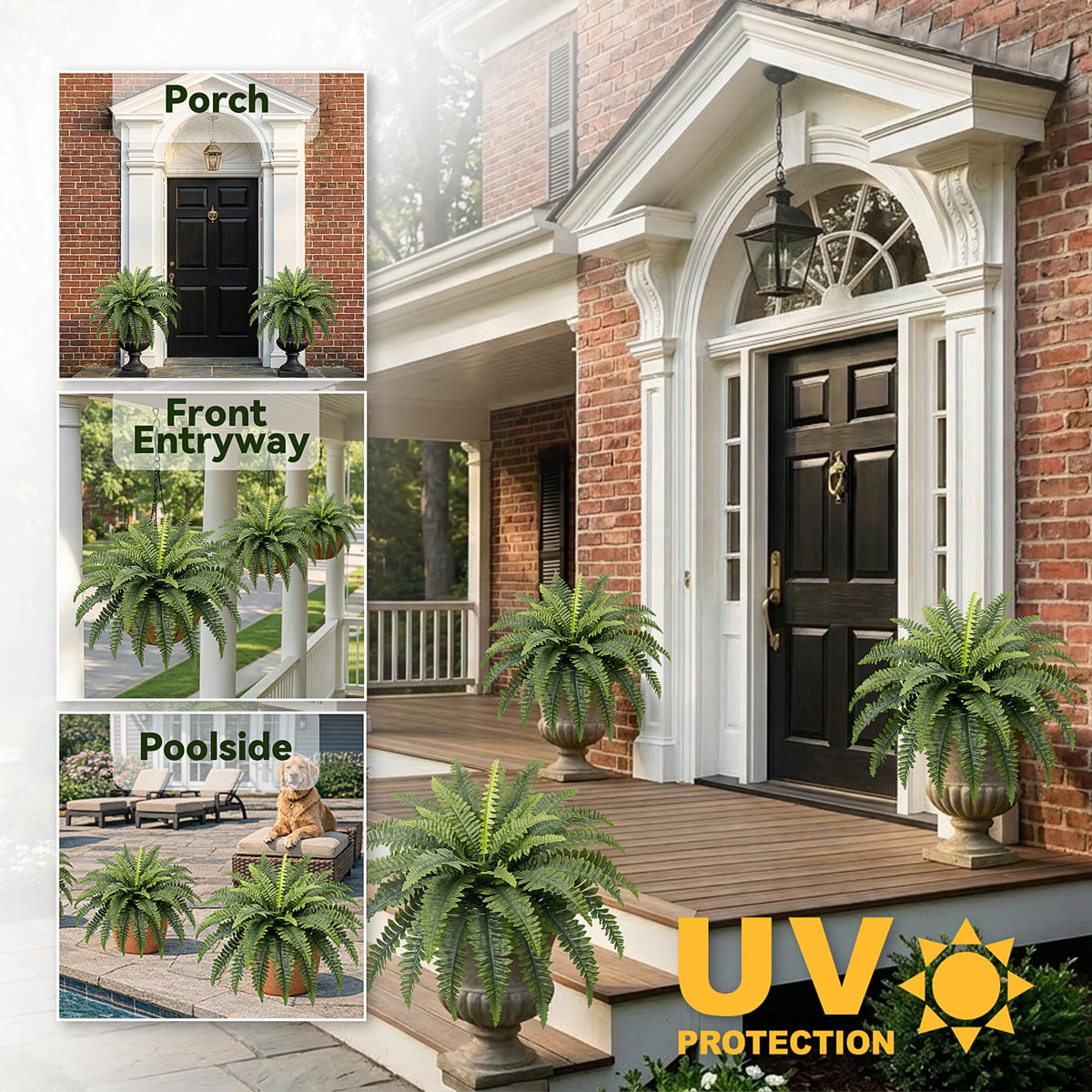 Richeerca fern in a hanging planter setup for porch decor.