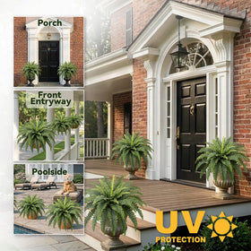 Richeerca fern in a hanging planter setup for porch decor.