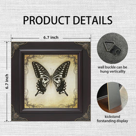 RISDORAY HD glass protects delicate butterfly display from dust.