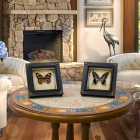 RISDORAY real butterfly specimen presented as timeless nature art.