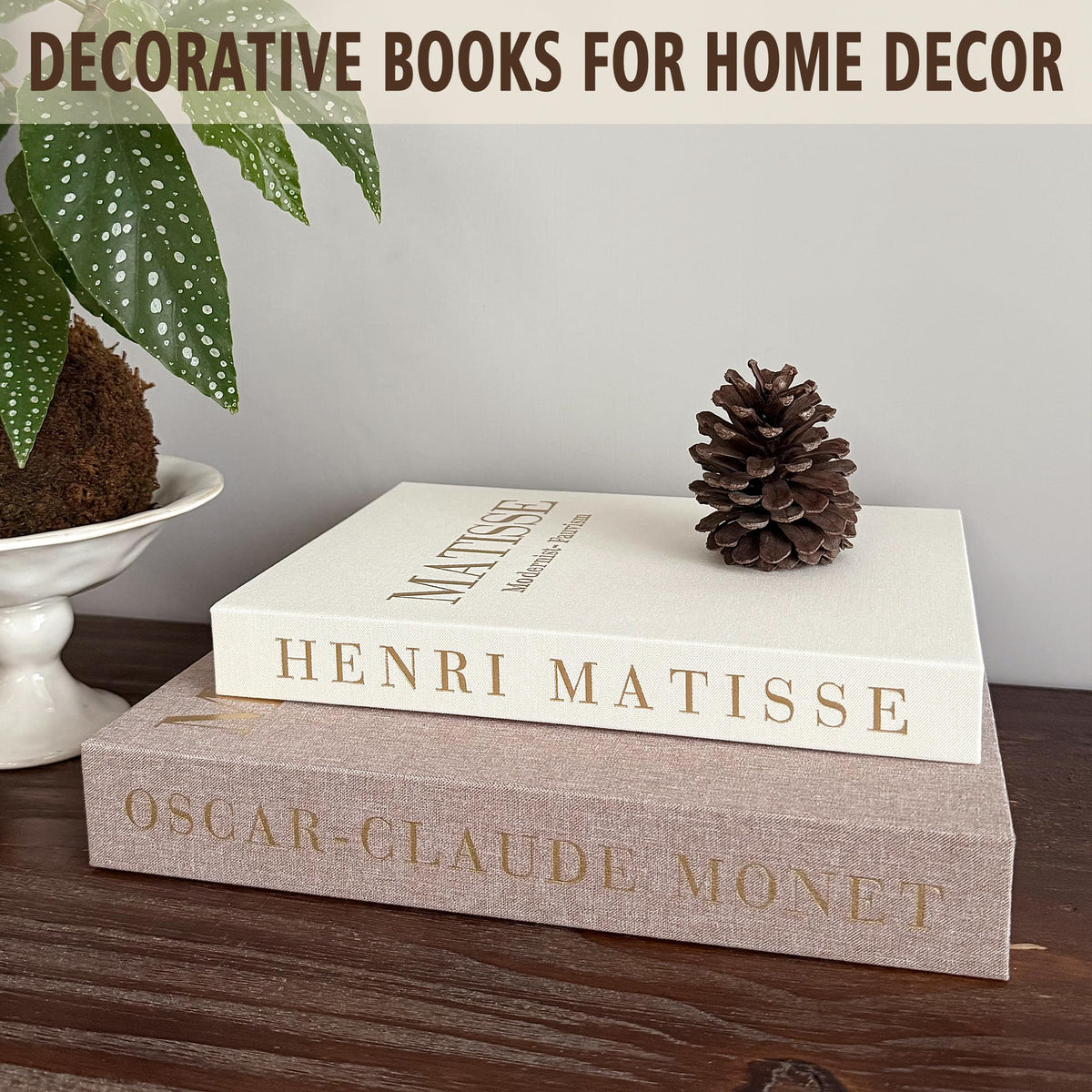 RolenBox bookshelf décor provides a layered artistic touch.
