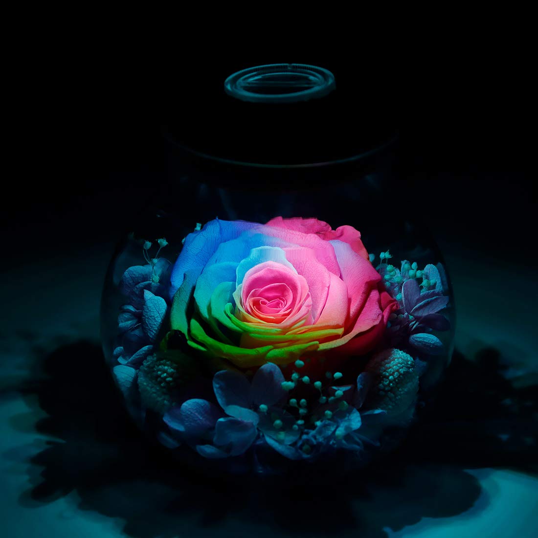roliys compact 4.3 inch rose bottle for desks