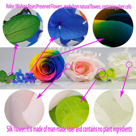 roliys compact rose bottle suitable for desks and shelves