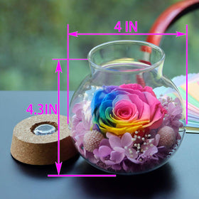 roliys eternal rose glass bottle glows with color illumination