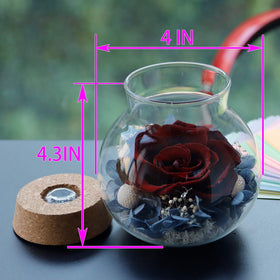 roliys preserved rose mood light bottle color-changing LEDs create vibrant atmosphere