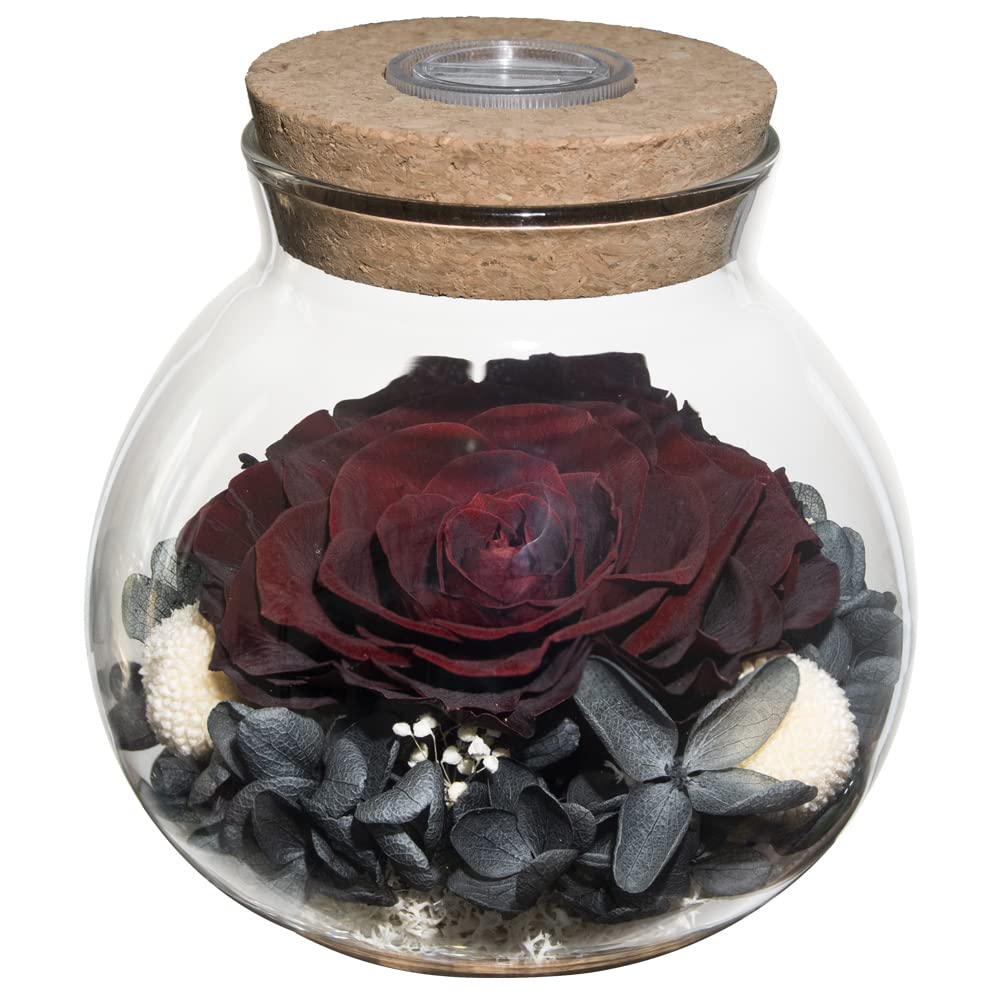 roliys preserved rose mood light bottle with glow-cap for ambient lighting