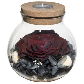 roliys preserved rose mood light bottle with glow-cap for ambient lighting
